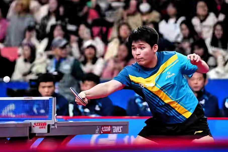 -关于波兰乒乓球队爆冷比利时乒乓球队，樊振东送出助攻的信息